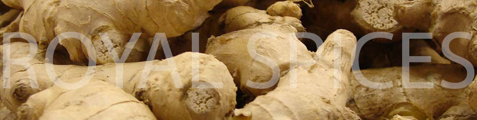 Cochin Quality Dried Ginger
